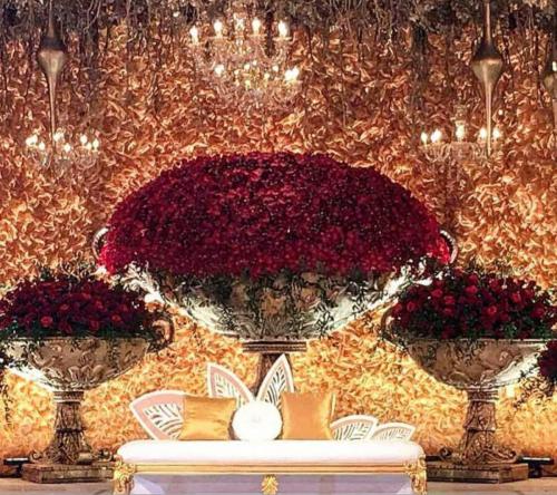 WhatsApp Image 2019-05-01 at 13.08.19